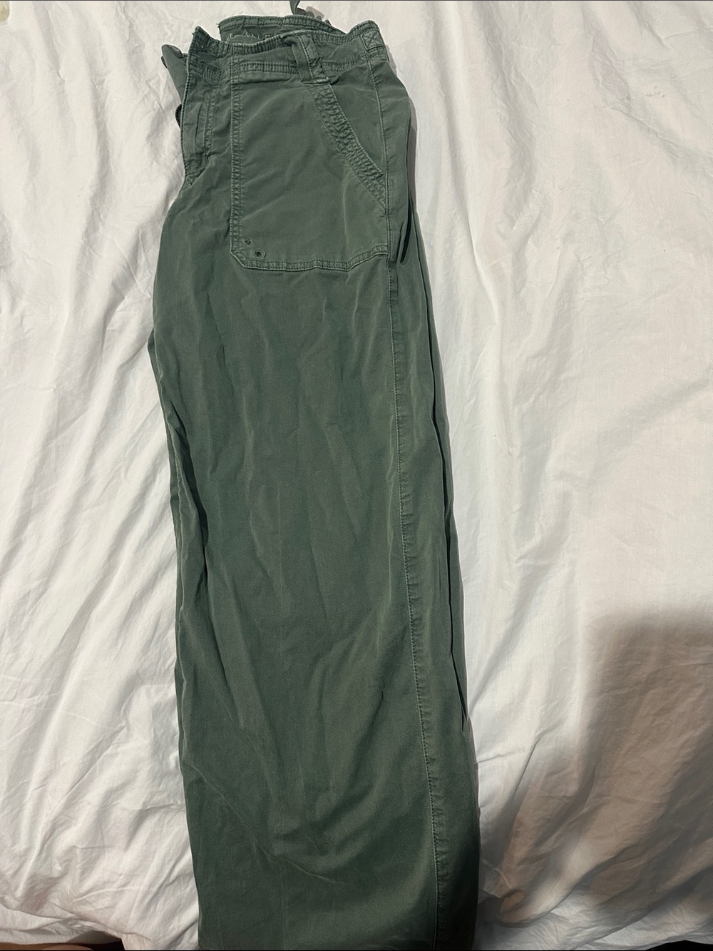 American Eagle Outfitters Men's Olive Green Cargo Pants